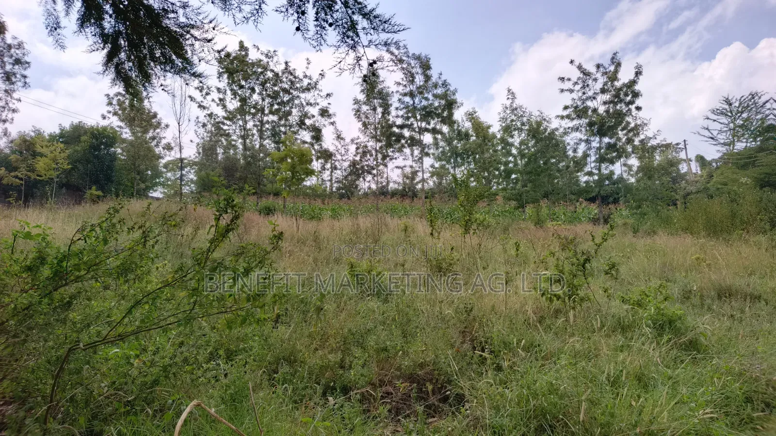 Commercial Quarter Acre Ideal for Apartments for Sale in Ngong in Ngong CBD