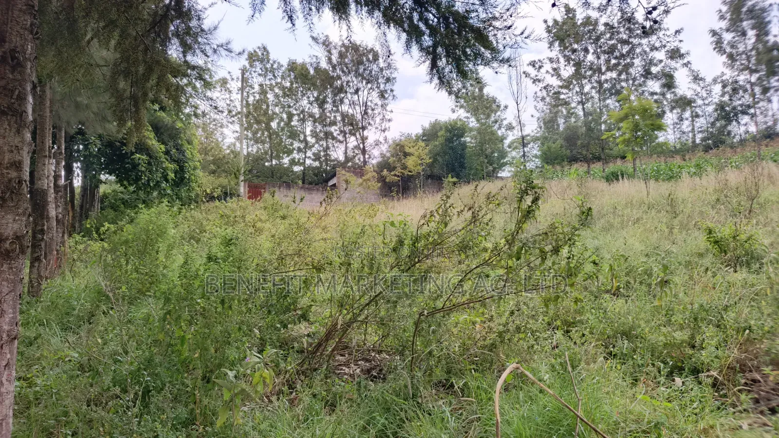Commercial Quarter Acre Ideal for Apartments for Sale in Ngong in Ngong CBD