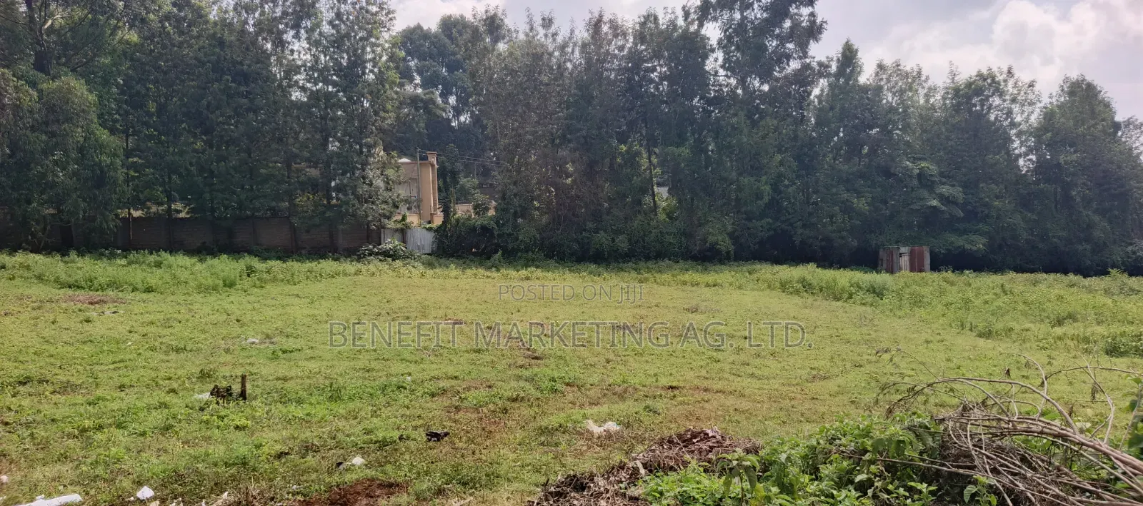 50*100 Plots Sale in Ngong Ololua 46' in Ngong CBD