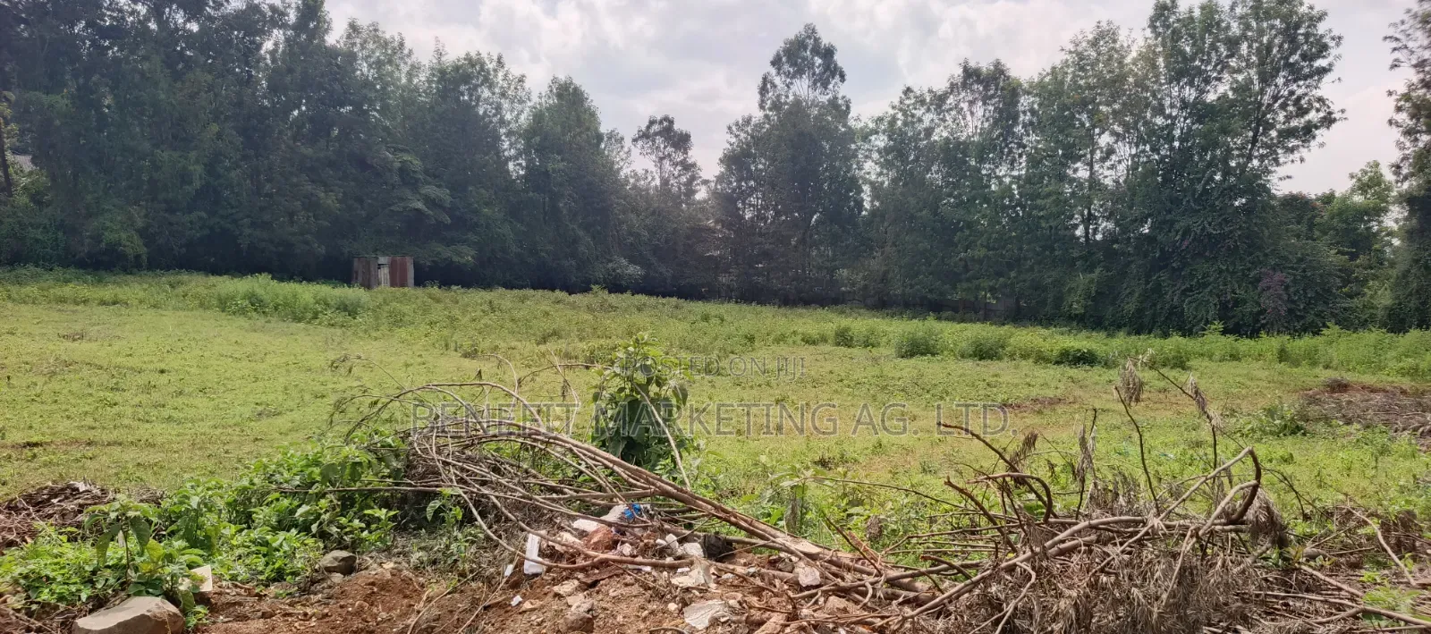 50*100 Plots Sale in Ngong Ololua 46' in Ngong CBD