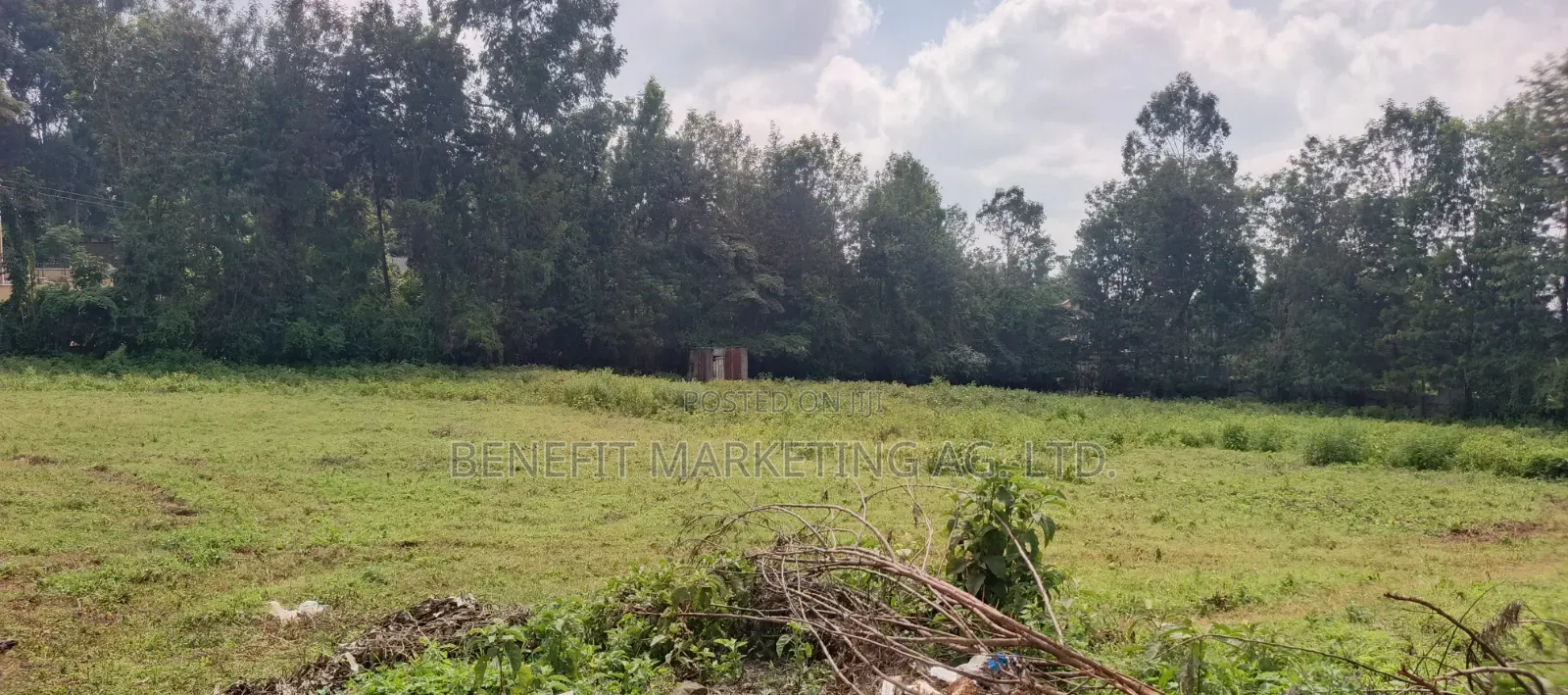 50*100 Plots Sale in Ngong Ololua 46' in Ngong CBD
