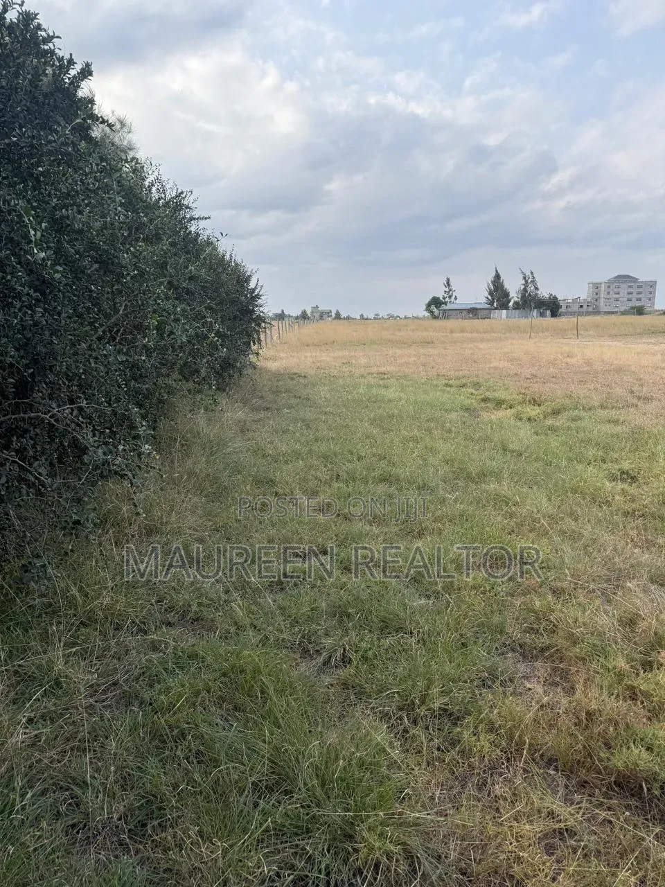 Prime Plots 50x100 Joska Sunshine in Joska