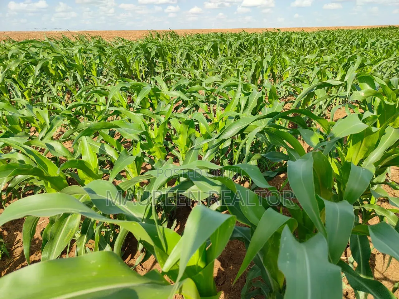 Prime Acres Malindi in Adu