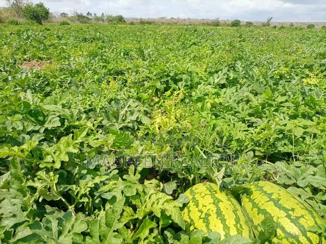 Prime Acres Malindi in Adu