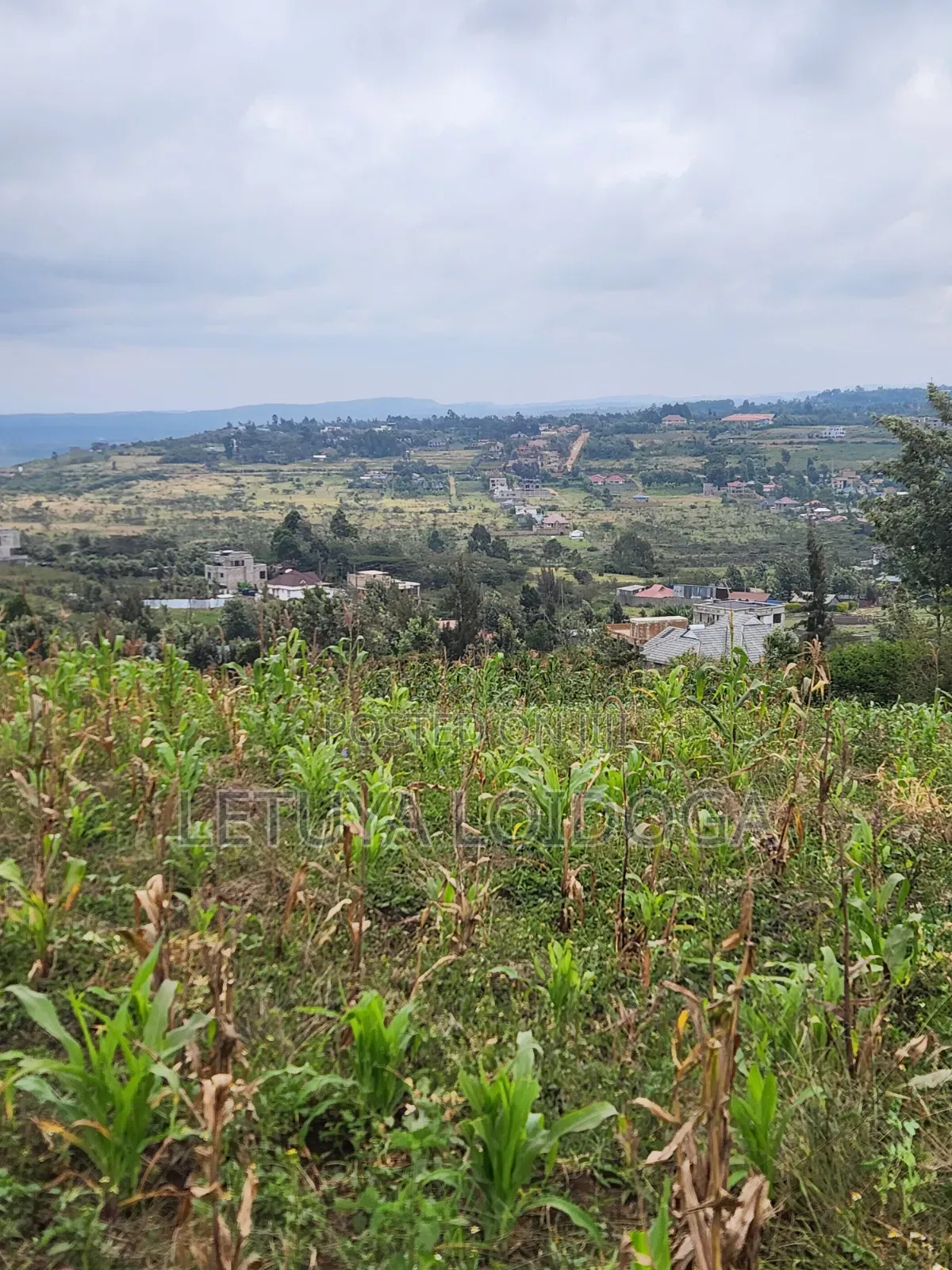 Prime Beautiful 2 Acres Ngong-Kibiko in Kibiku