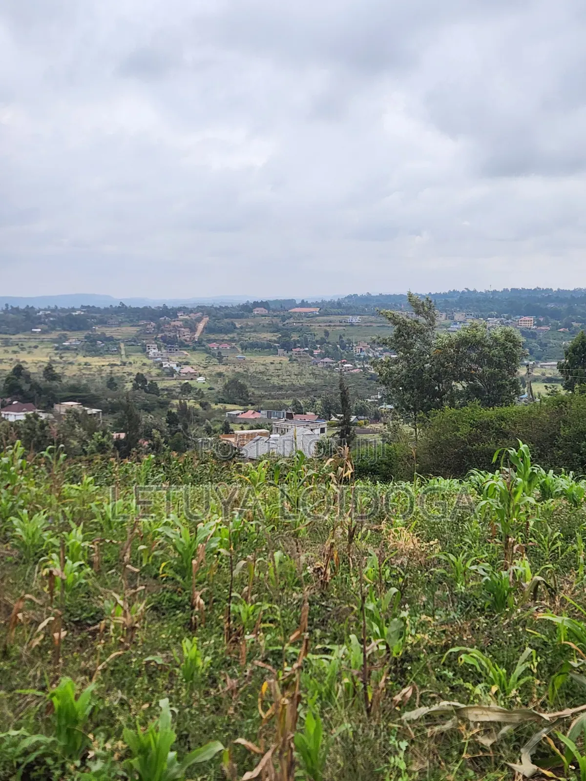 Prime Beautiful 2 Acres Ngong-Kibiko in Kibiku