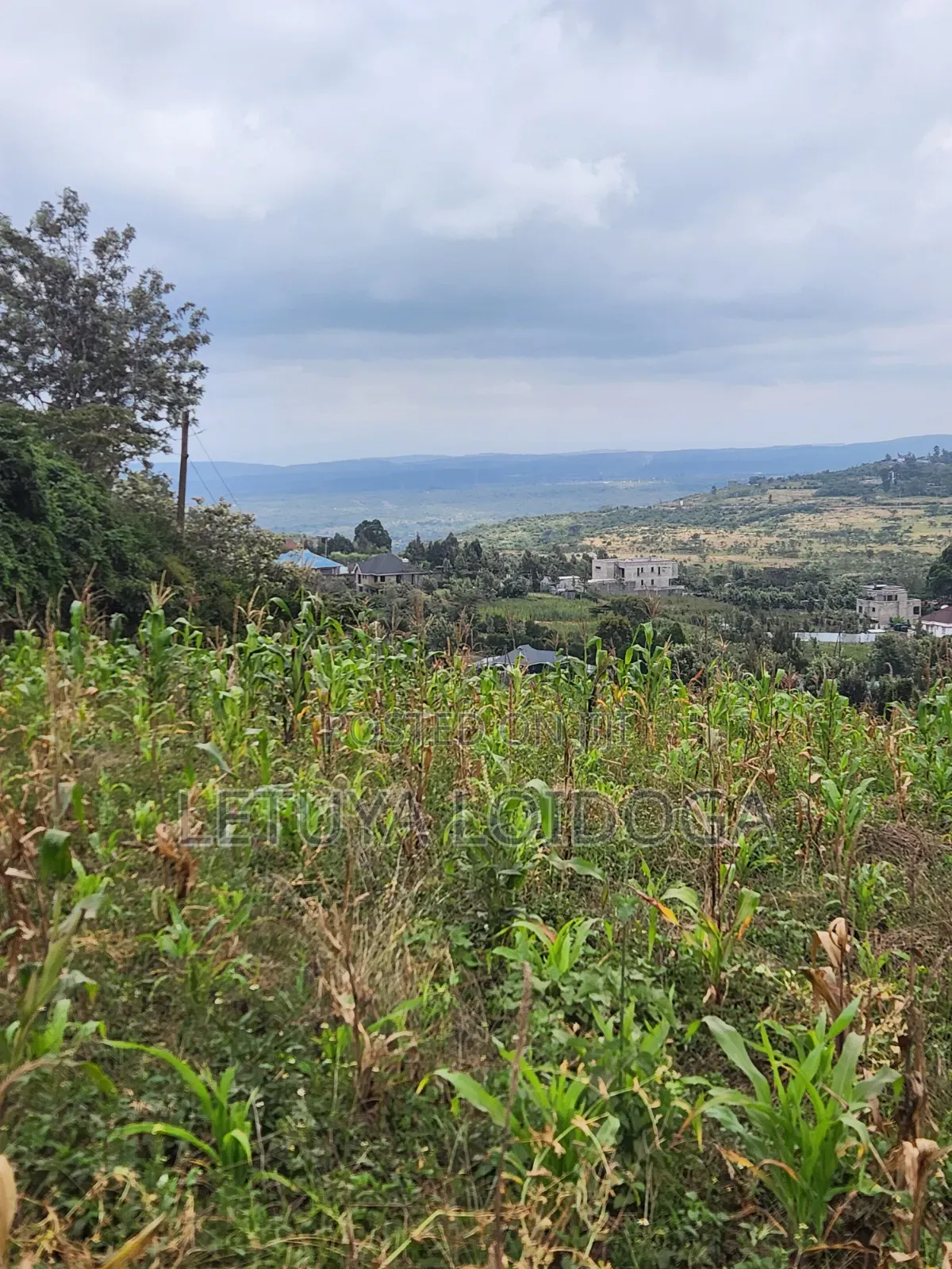 Prime Beautiful 2 Acres Ngong-Kibiko in Kibiku