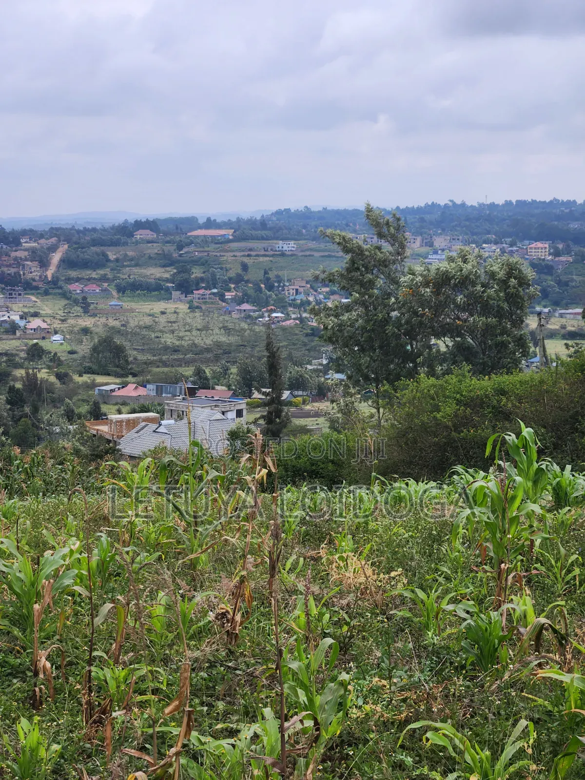 Prime Beautiful 2 Acres Ngong-Kibiko in Kibiku