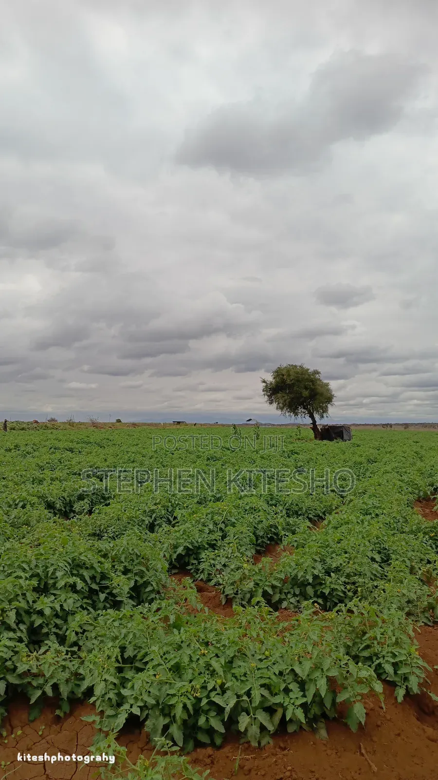 13acres for Sale Loitoktok Seneti Area in Kimana