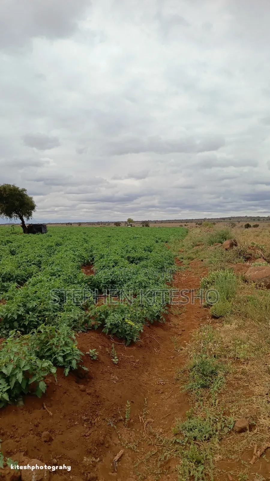 13acres for Sale Loitoktok Seneti Area in Kimana