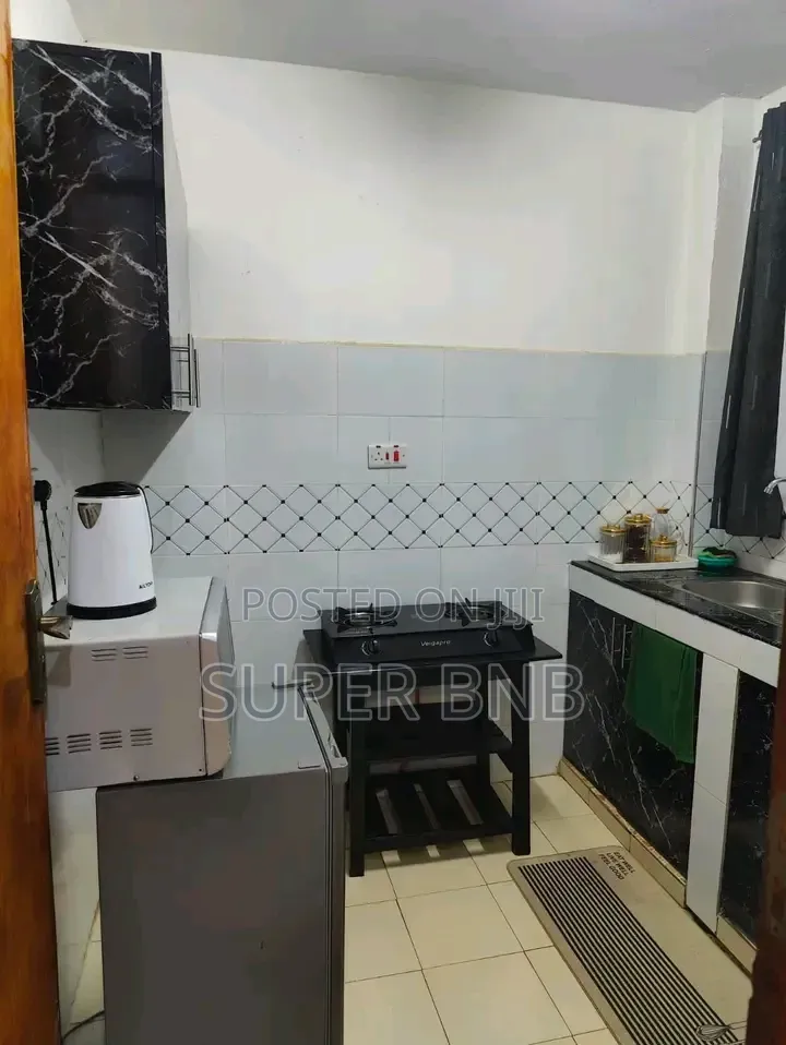 Fully Furnished Studio, One and Two Bedrooms Thika Superhighway TRM in Roysambu