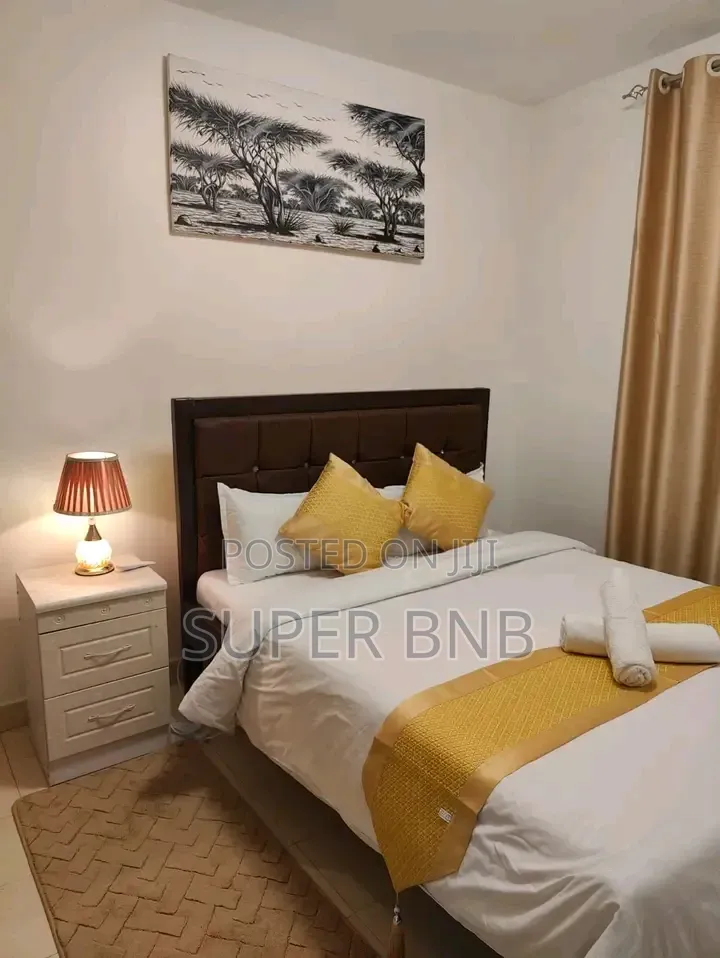 Fully Furnished Studio, One and Two Bedrooms Thika Superhighway TRM in Roysambu