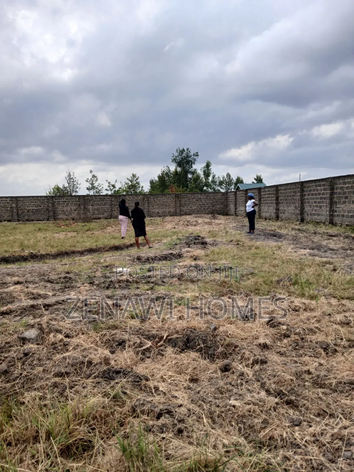 Juja Plots 1.5km Off Tarmac. CKK in Kalimoni
