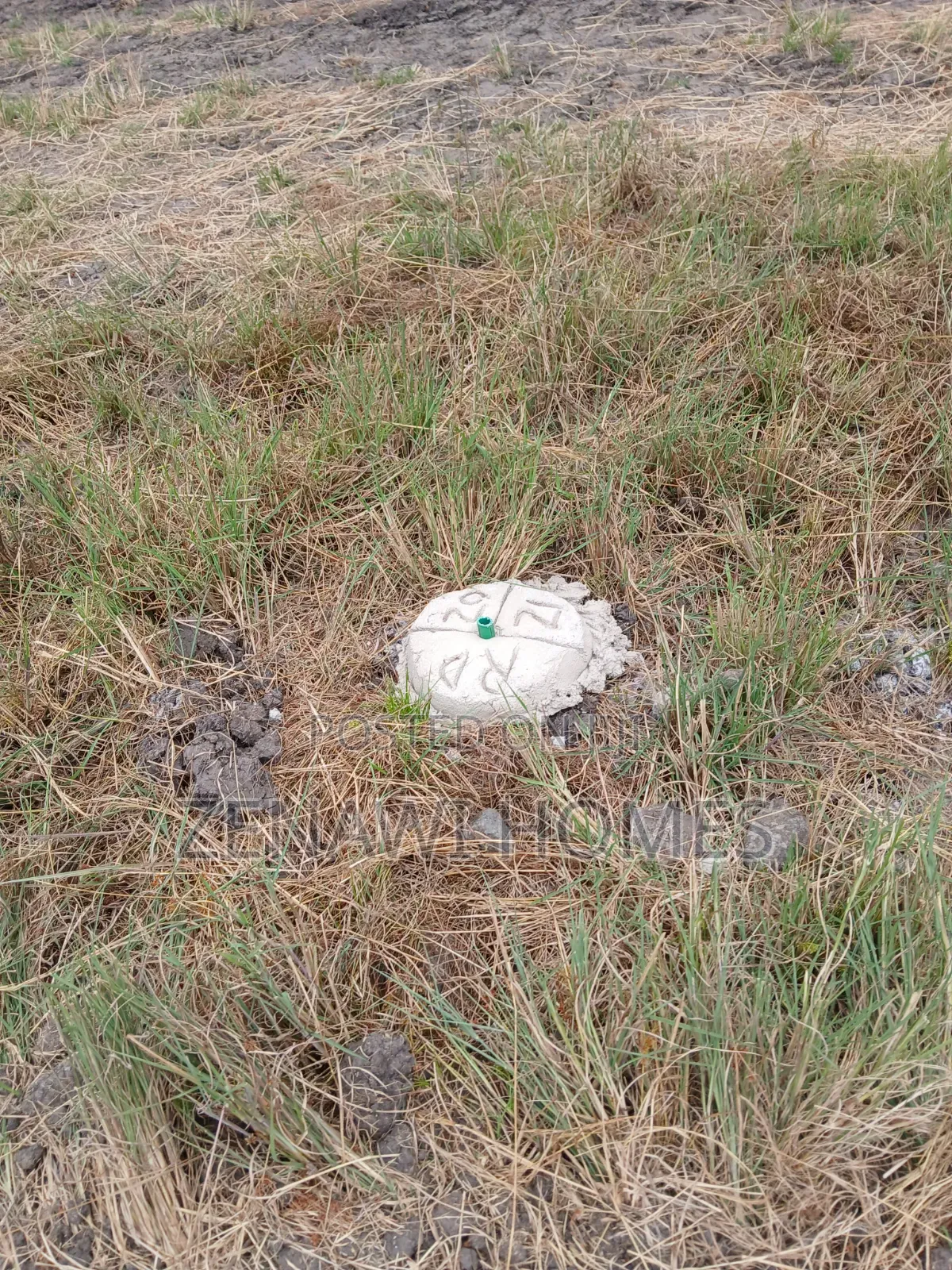 Juja Plots 1.5km Off Tarmac. CKK in Kalimoni
