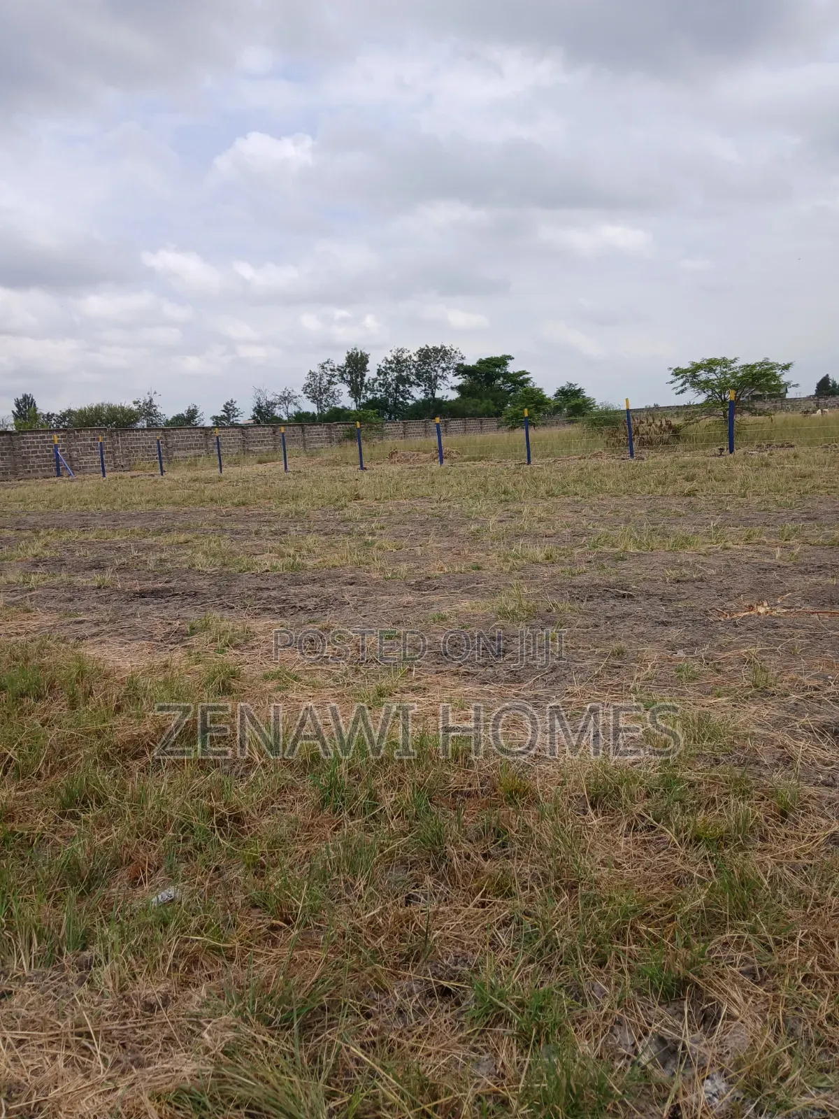 Juja Plots 1.5km Off Tarmac. CKK in Kalimoni