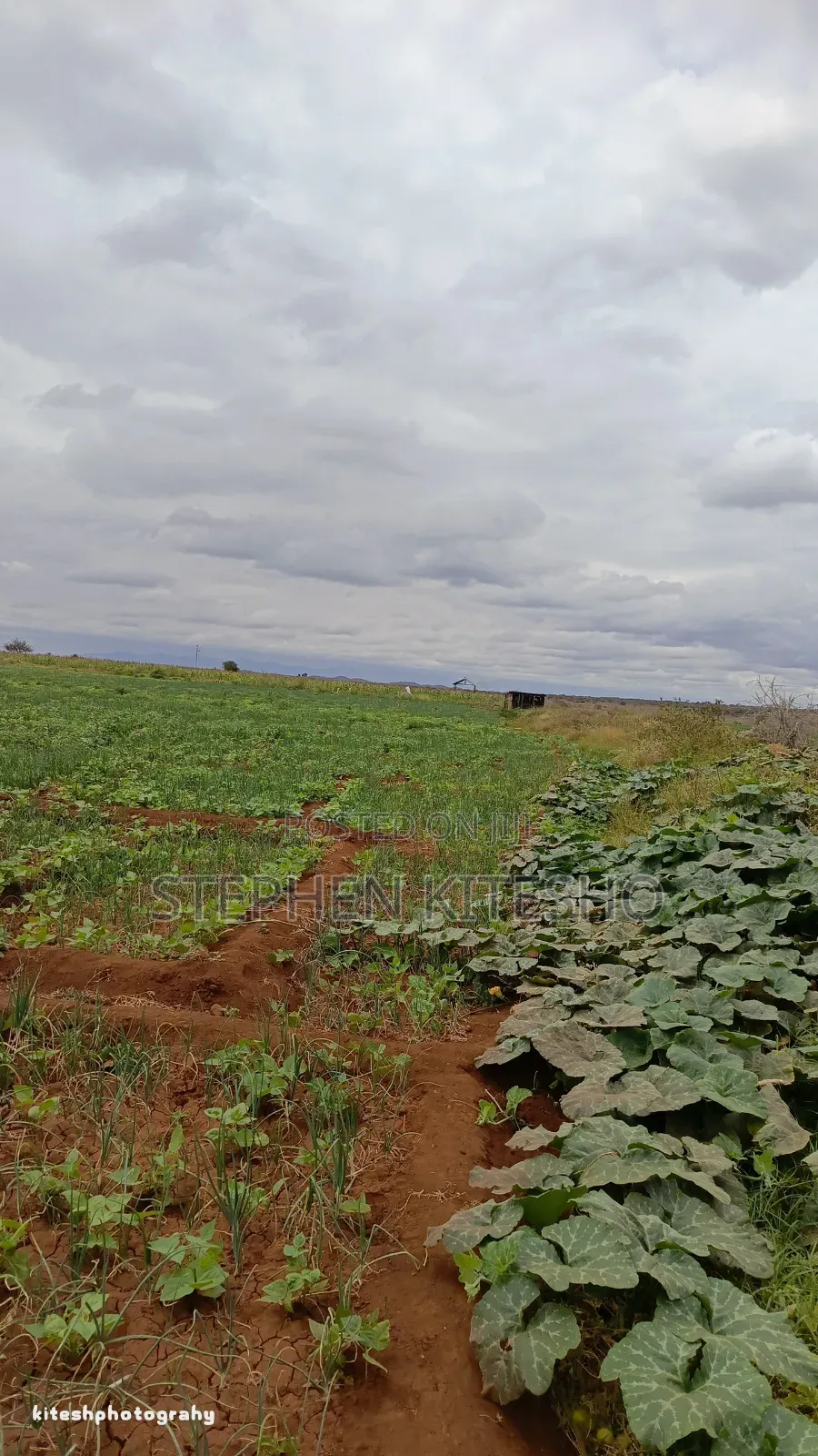 10acres for Sale at Loitoktok Kimana Area in Kimana