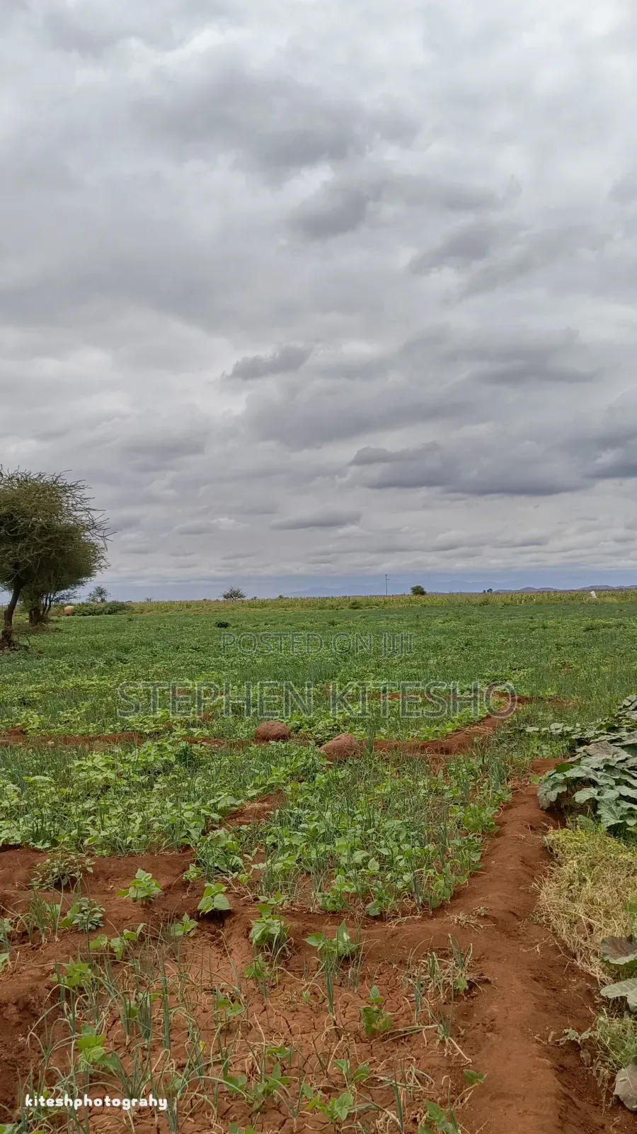 10acres for Sale at Loitoktok Kimana Area in Kimana