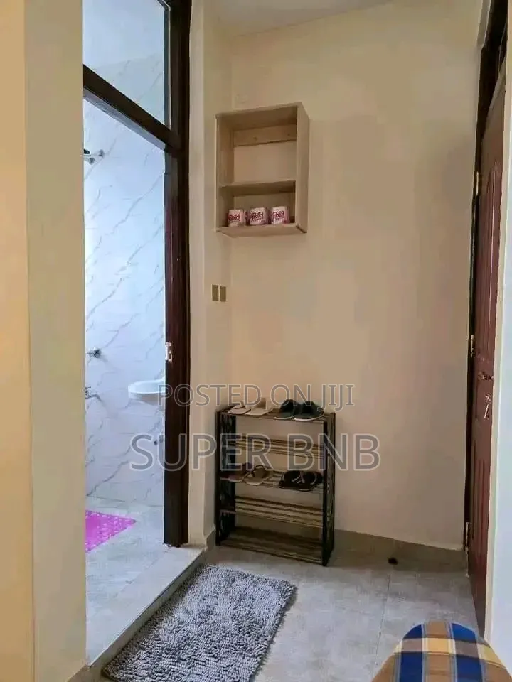 1 2 Bedroom Airbnb Fully Furnished Available in Muranga Town in Township G