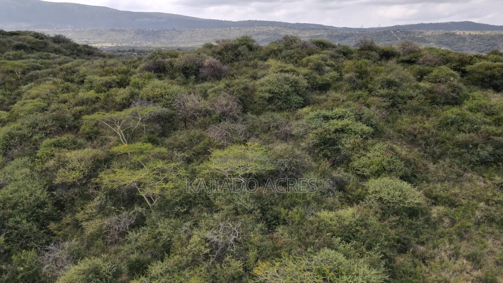 Emergency Sale 10 Acres Kashanga, Kisamis at Per Acre in Kiserian