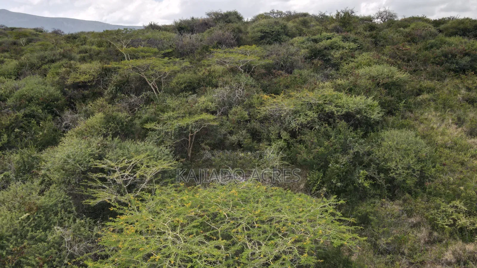 Emergency Sale 10 Acres Kashanga, Kisamis at Per Acre in Kiserian
