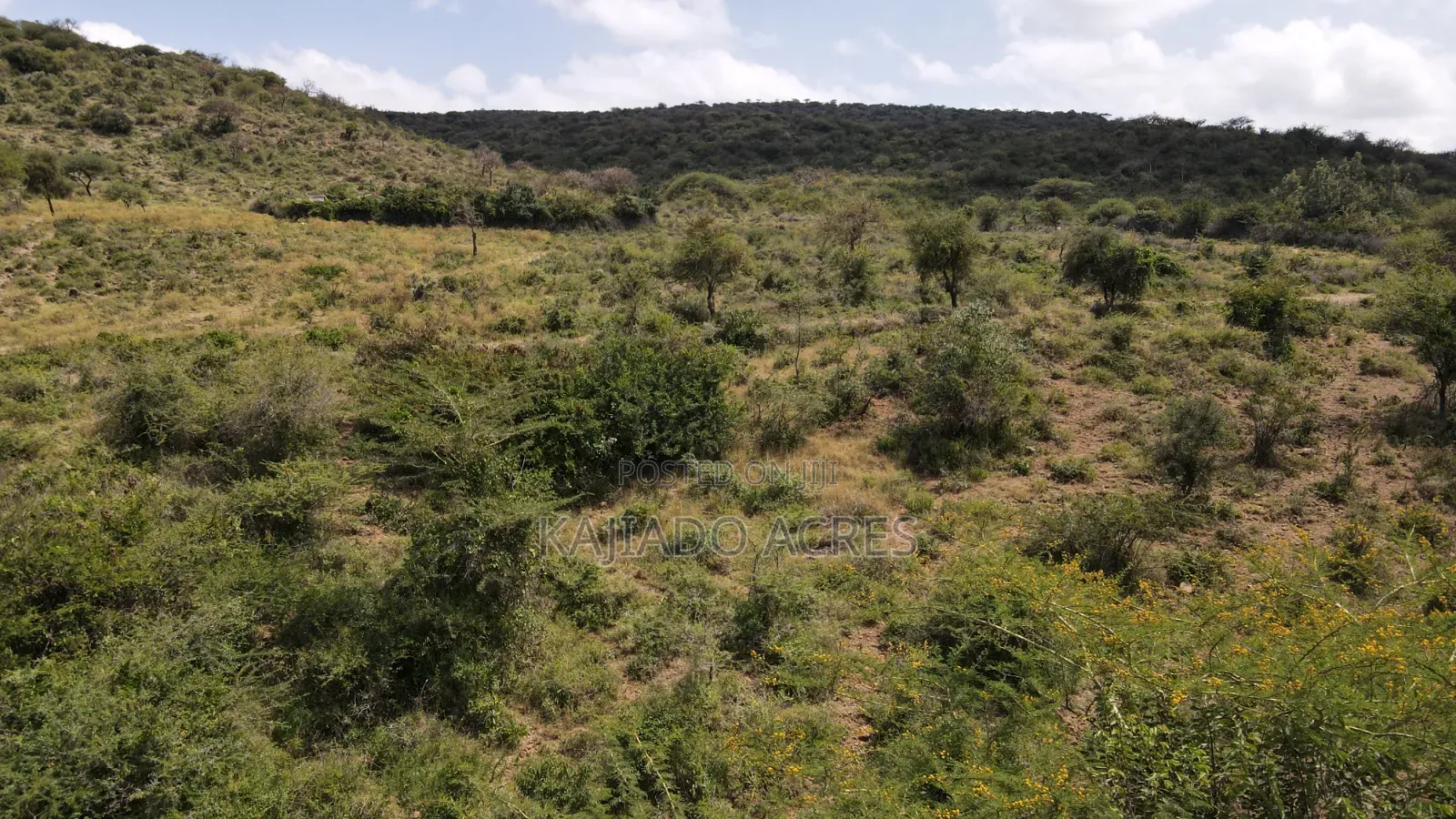Emergency Sale 10 Acres Kashanga, Kisamis at Per Acre in Kiserian