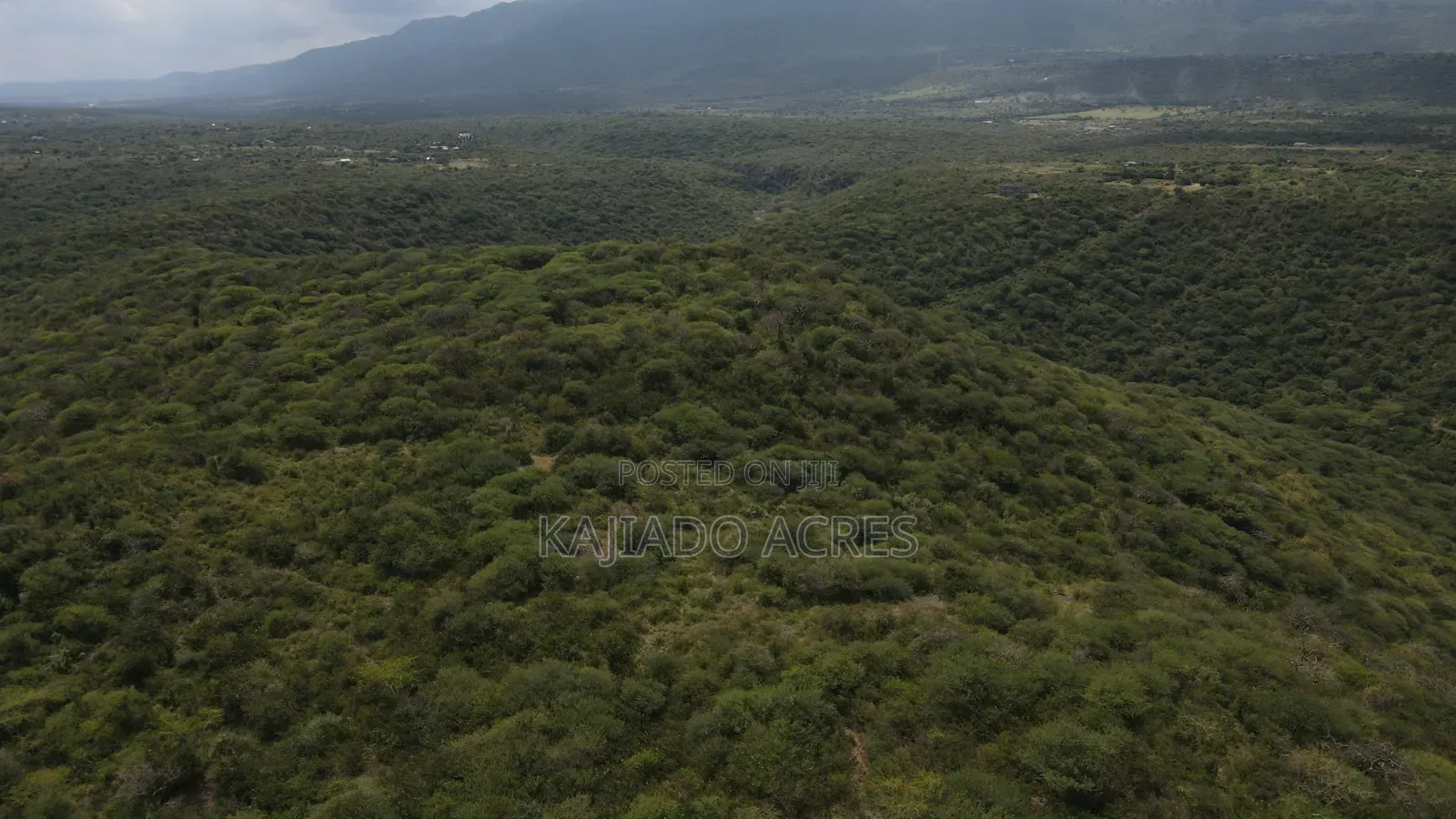 Emergency Sale 10 Acres Kashanga, Kisamis at Per Acre in Kiserian