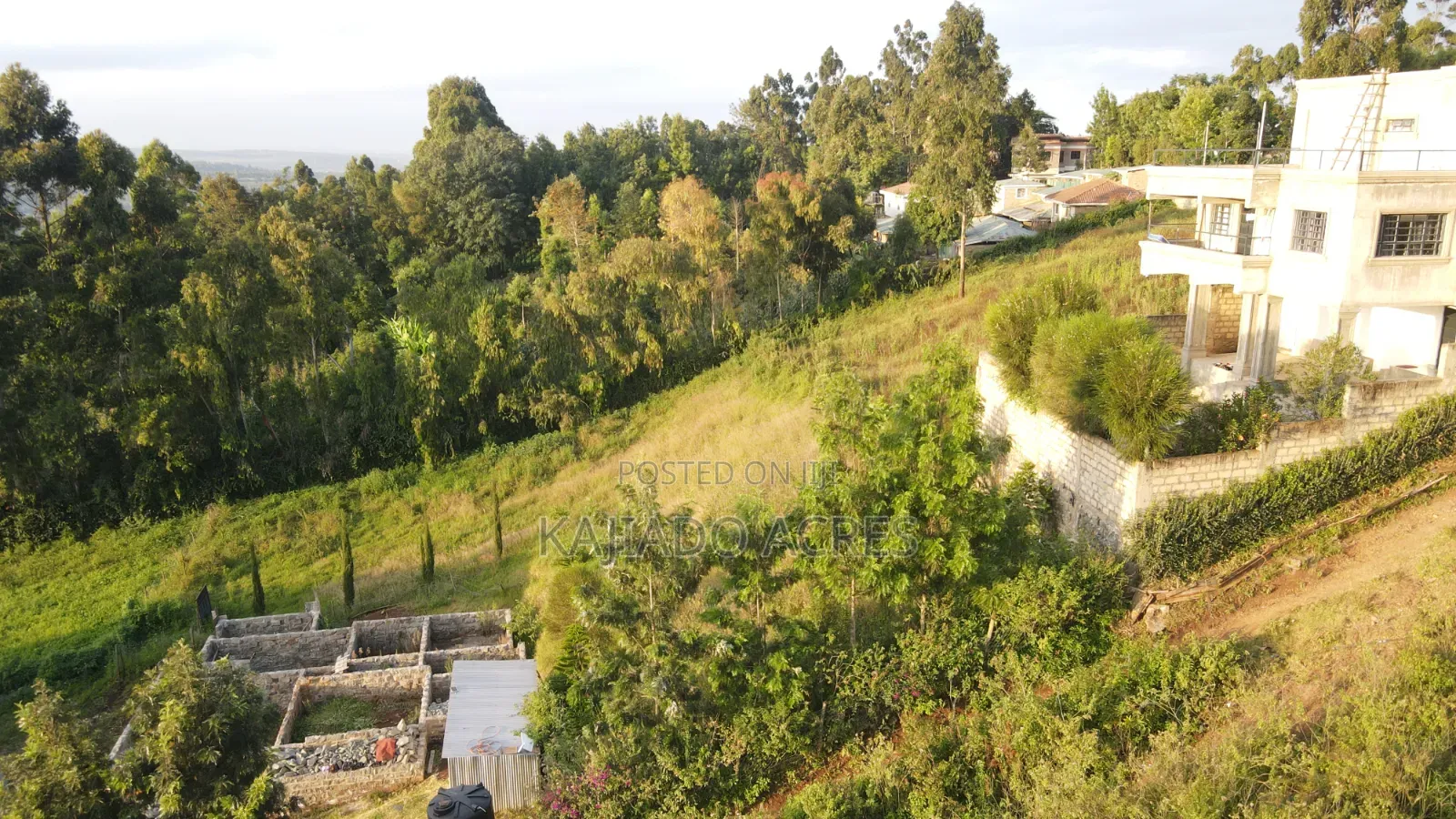 1/8 Acres Kibiku,Maragara Road in Kibiku