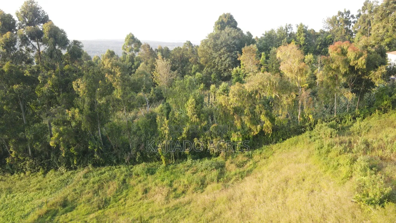 1/8 Acres Kibiku,Maragara Road in Kibiku