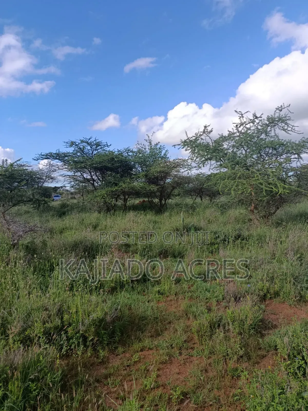 10 Acres Ewuaso Kedong Touching Tarmac in Ewaso Kendong