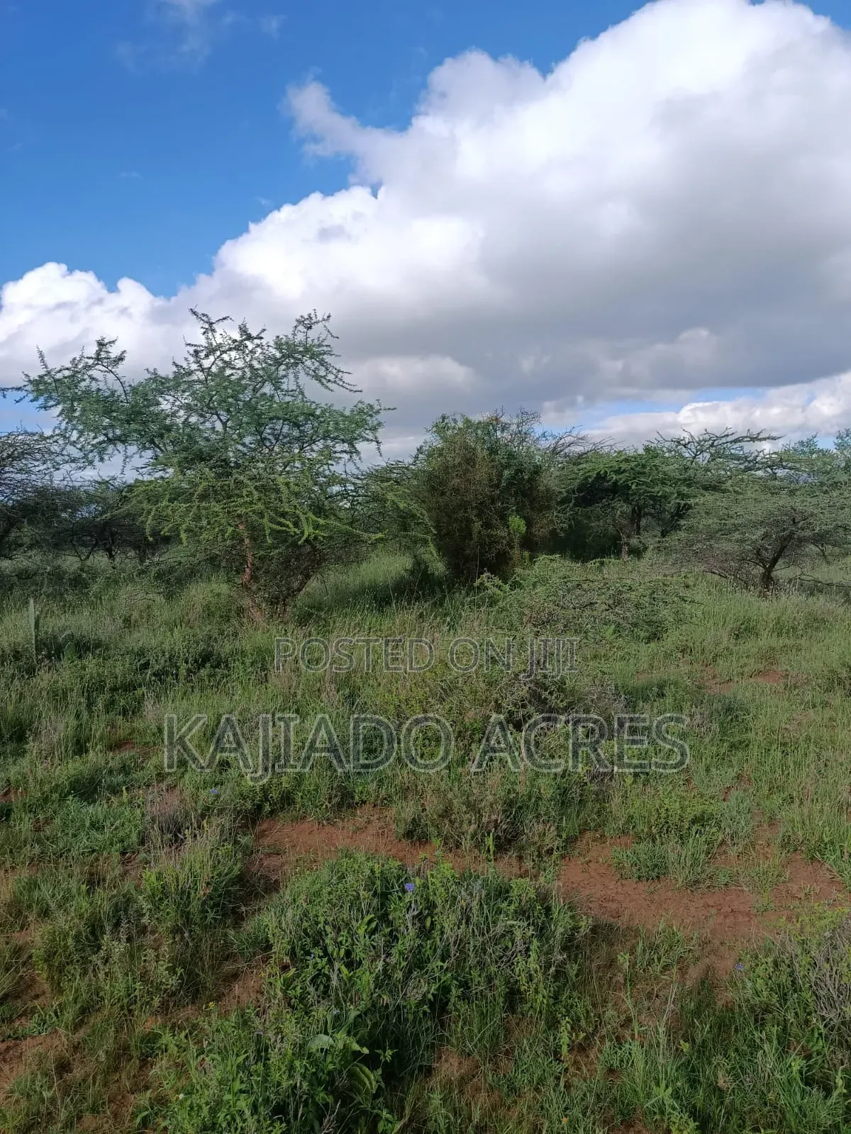 10 Acres Ewuaso Kedong Touching Tarmac in Ewaso Kendong