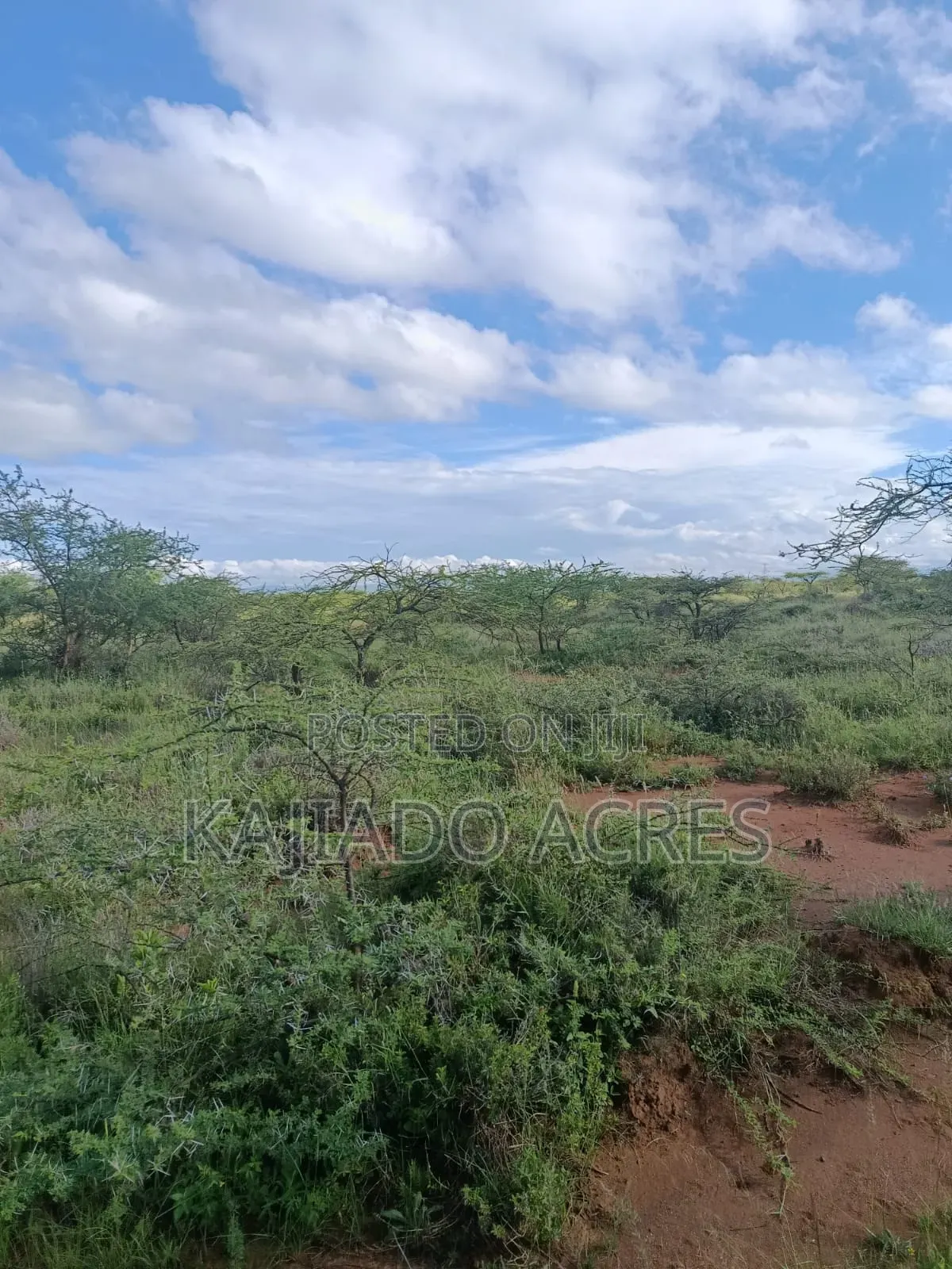 10 Acres Ewuaso Kedong Touching Tarmac in Ewaso Kendong