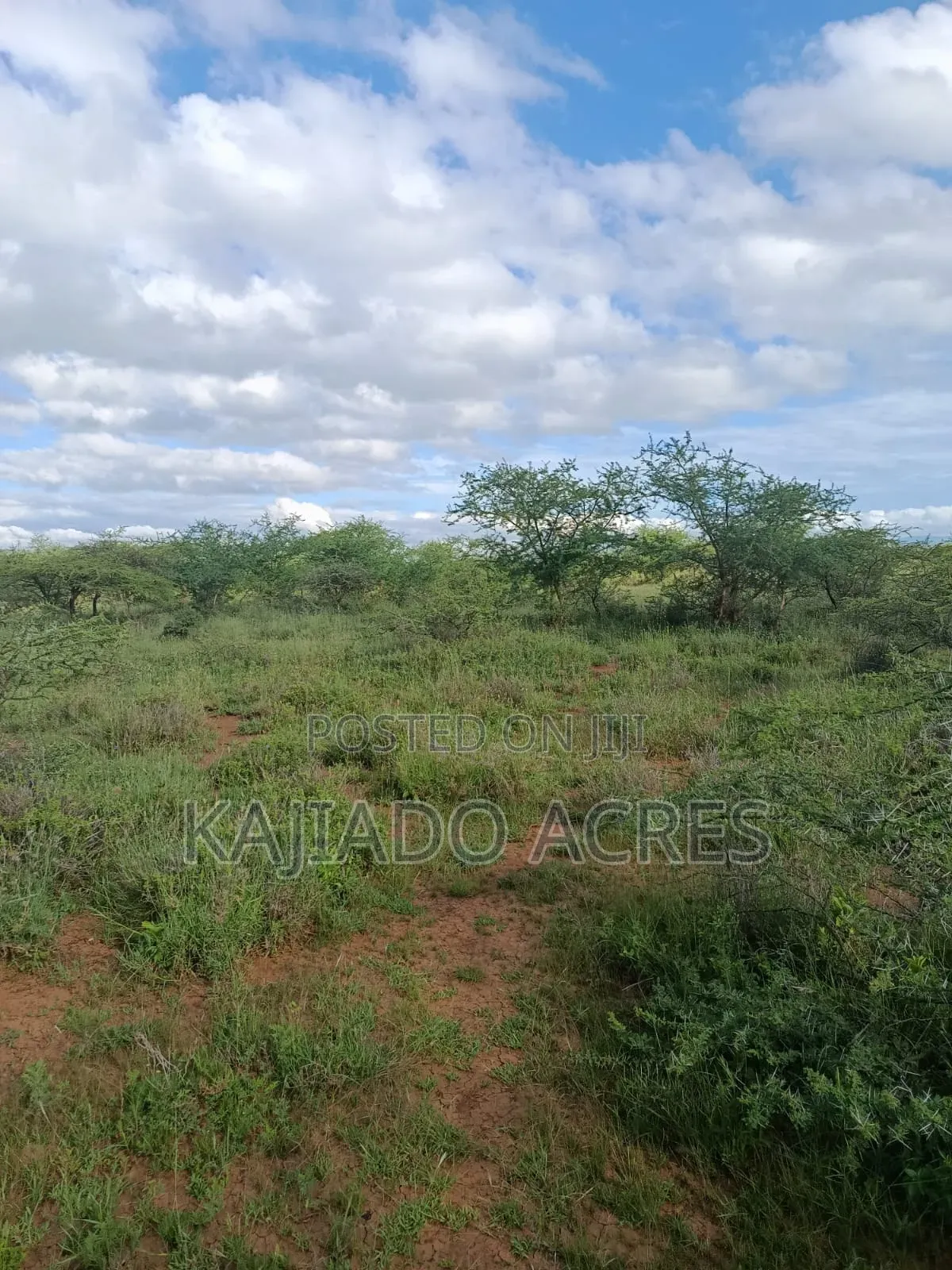 10 Acres Ewuaso Kedong Touching Tarmac in Ewaso Kendong