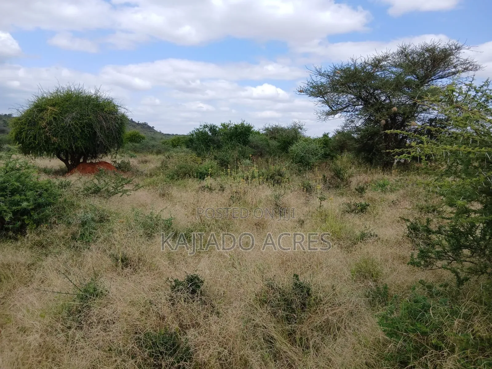 38 Acres Nguyan at Per Acre in Ewaso Kendong