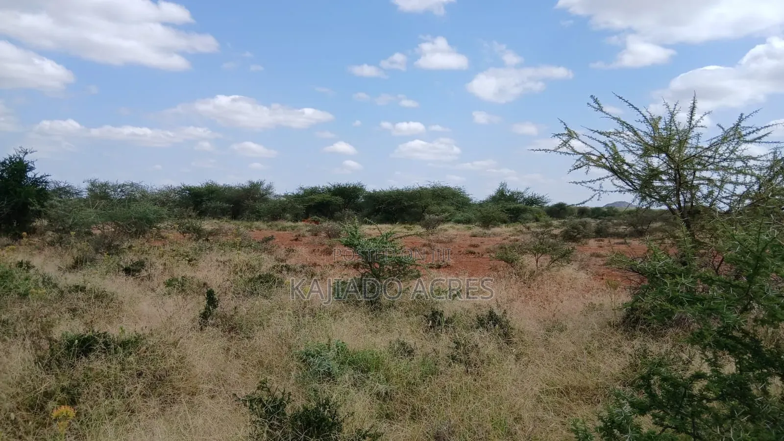 38 Acres Nguyan at Per Acre in Ewaso Kendong