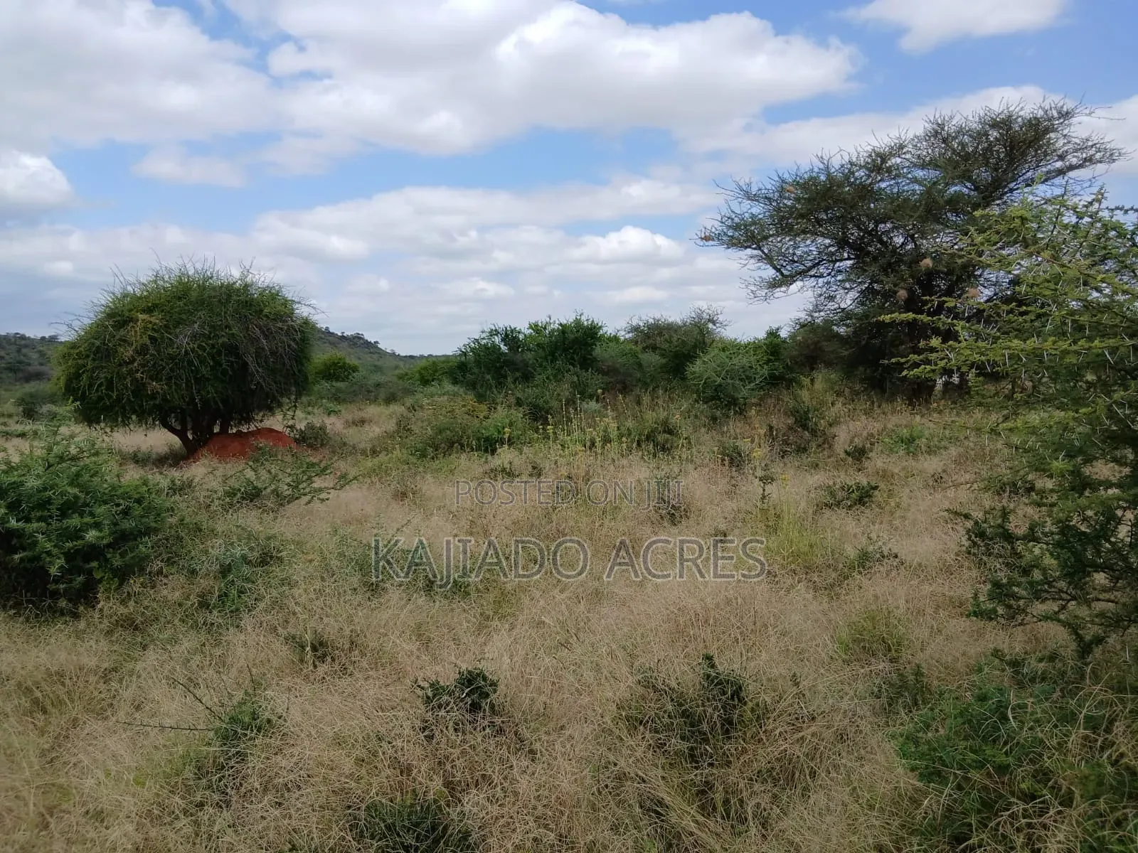 38 Acres Nguyan at Per Acre in Ewaso Kendong