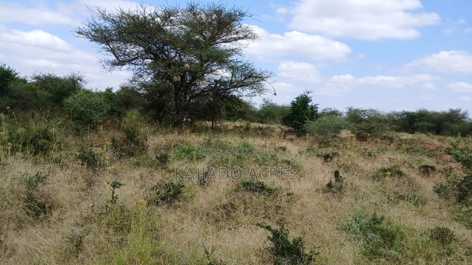 38 Acres Nguyan at Per Acre in Ewaso Kendong