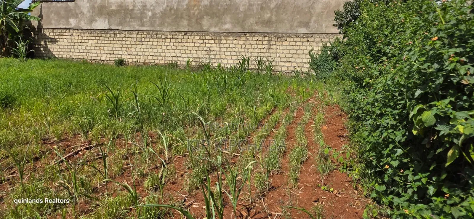Prime Commercial Plot for Sale in Kimumu Ndovu in Eldoret in Kimumu