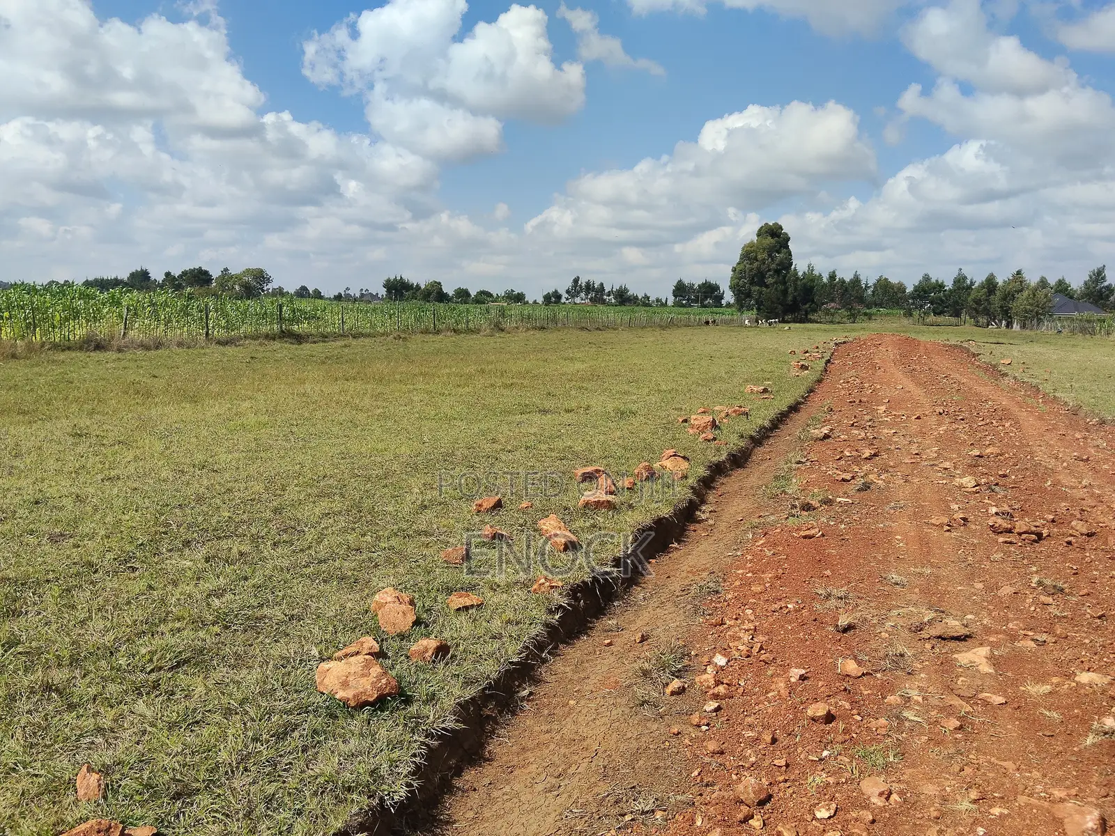 Moiben Junction Prime Plots in Sergoit
