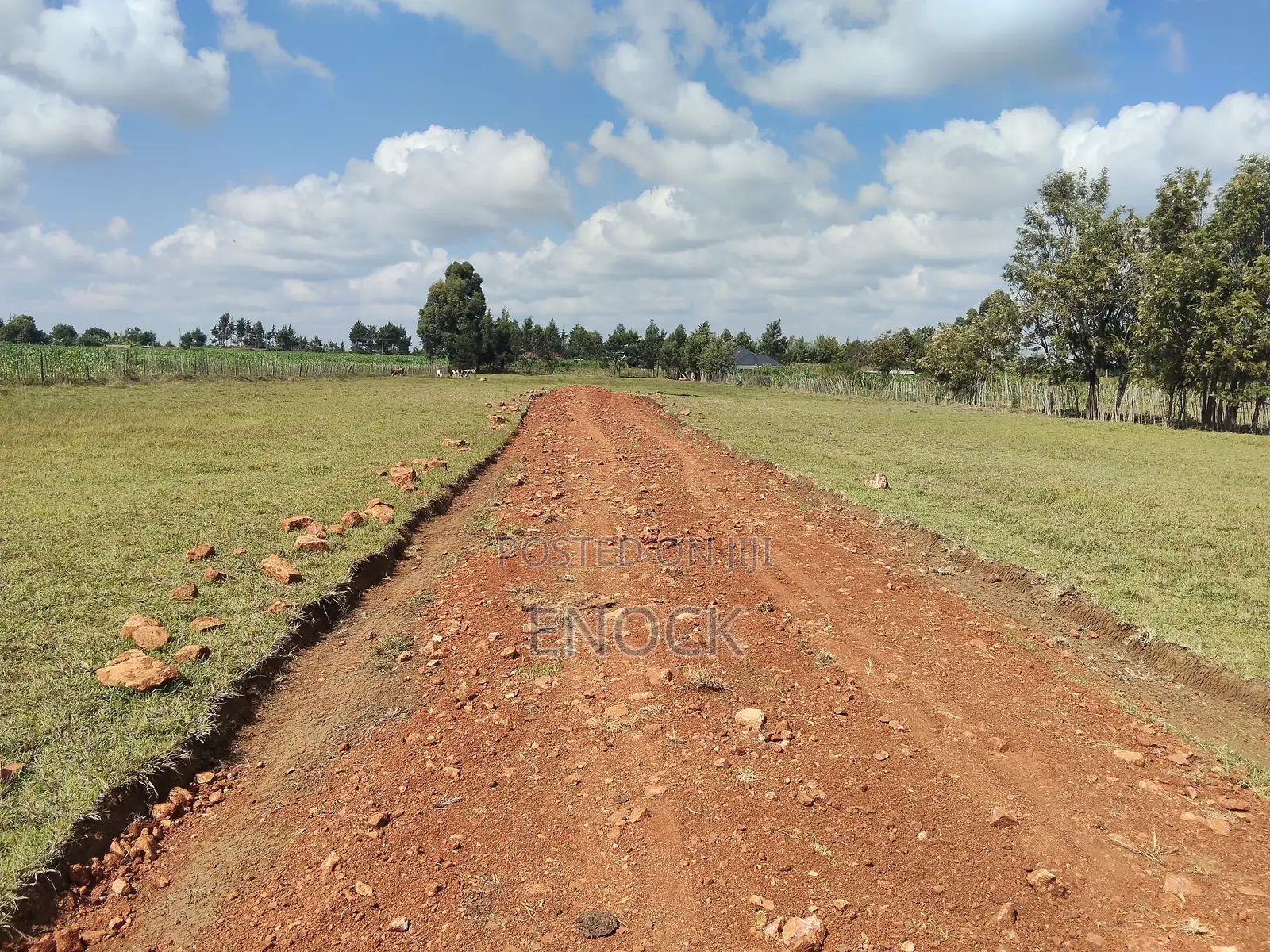 Moiben Junction Prime Plots in Sergoit