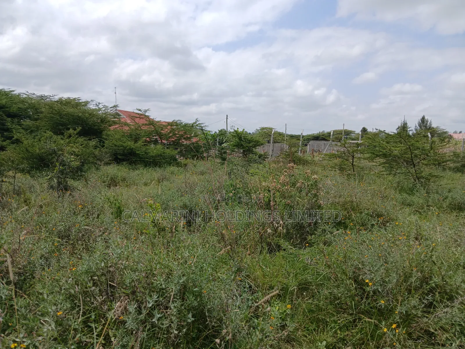 Very Prime Full Acre Land in Kiserian, Ngong 2kms Off Magadi Rd Tarmac in Kiserian