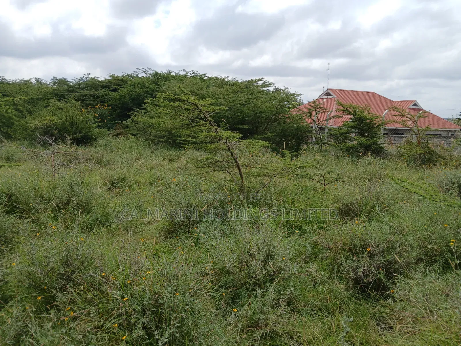 Very Prime Full Acre Land in Kiserian, Ngong 2kms Off Magadi Rd Tarmac in Kiserian