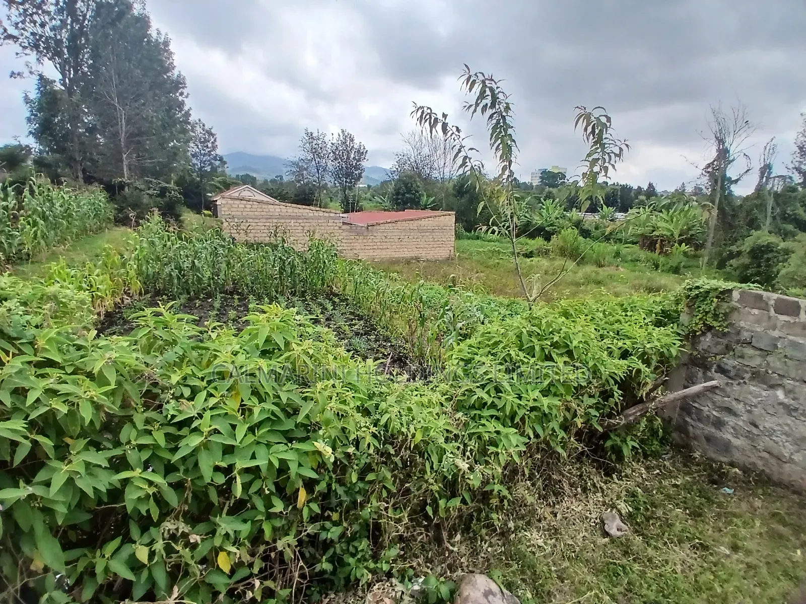 Distress Sale! Prime Commercial 100 by 100 Plot in Kiserian, Ngong in Kiserian