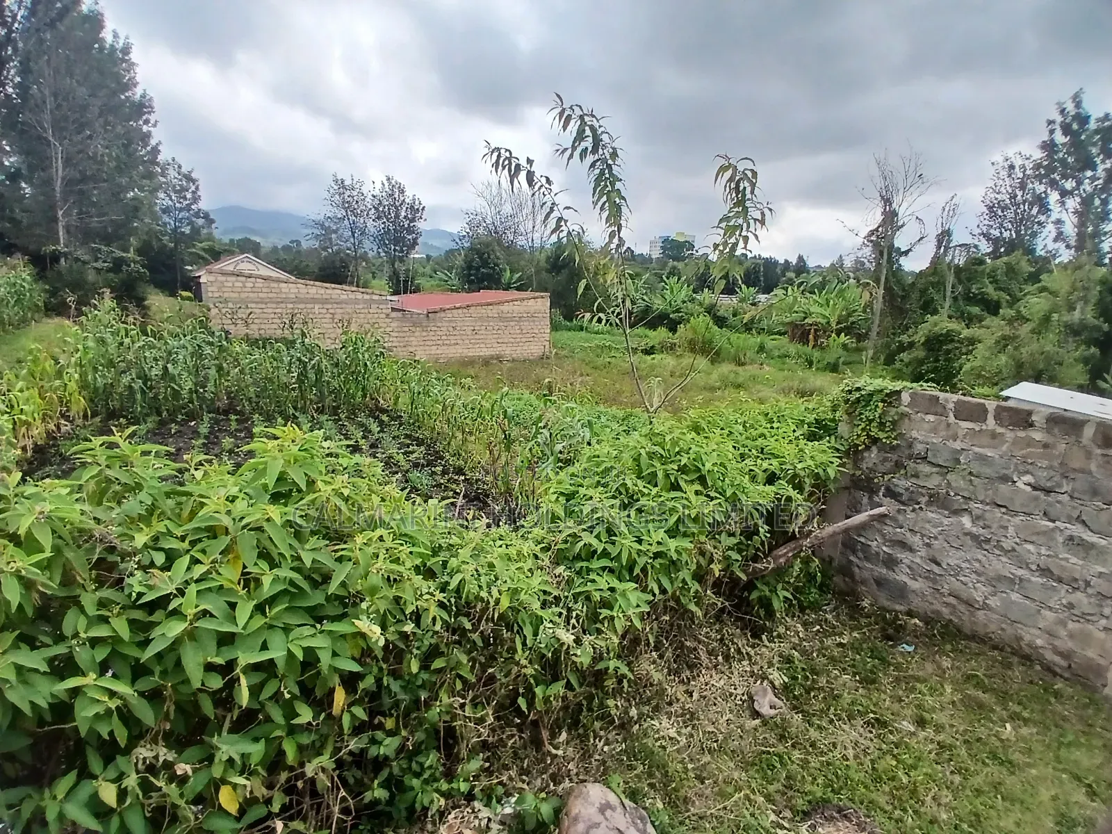 Distress Sale! Prime Commercial 100 by 100 Plot in Kiserian, Ngong in Kiserian