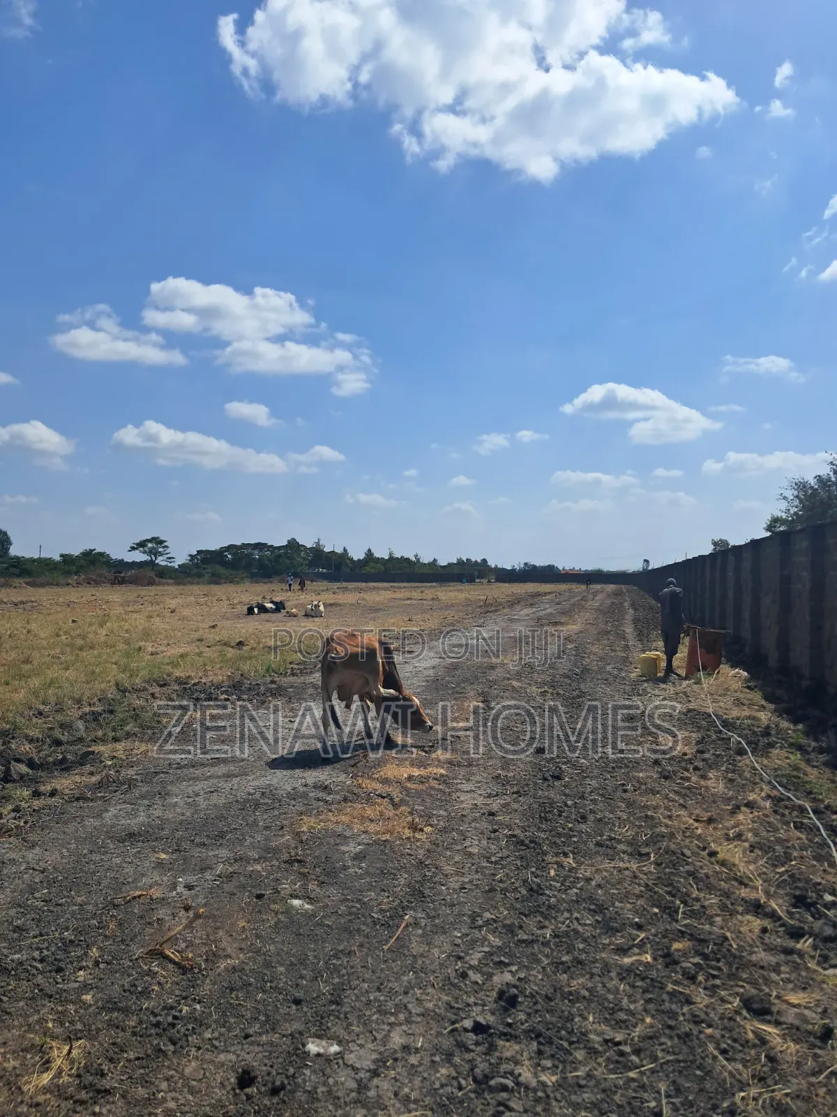Juja Farm Munandaine Plots Sm* in Kalimoni