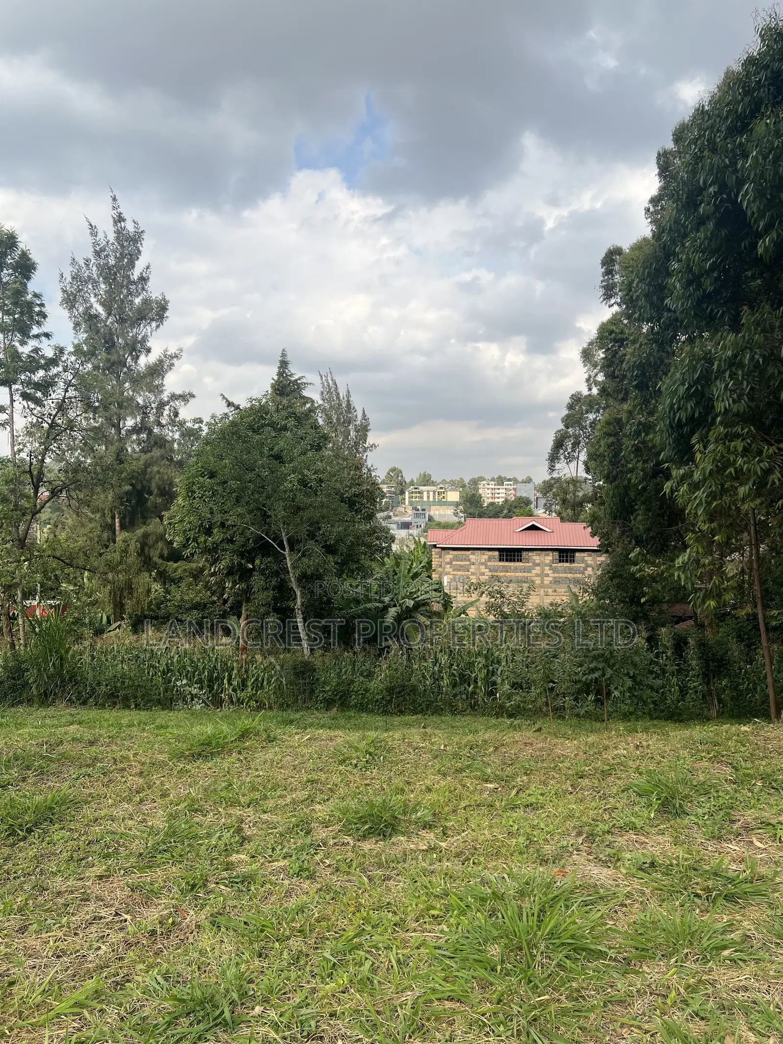 Prime 1/8 Acre for Sale  Kikuyu, Gikambura in Kikuyu