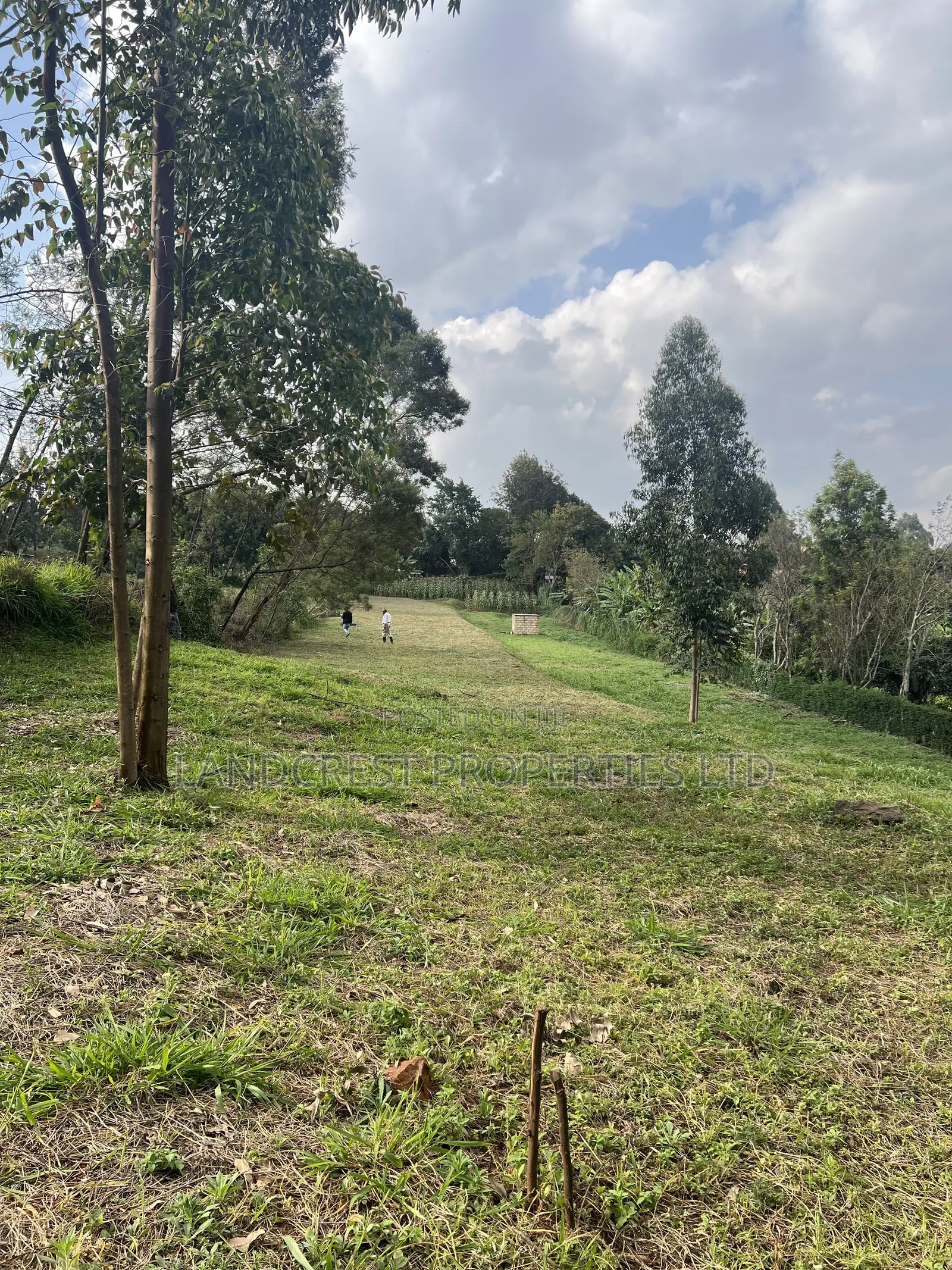Prime 1/8 Acre for Sale  Kikuyu, Gikambura in Kikuyu
