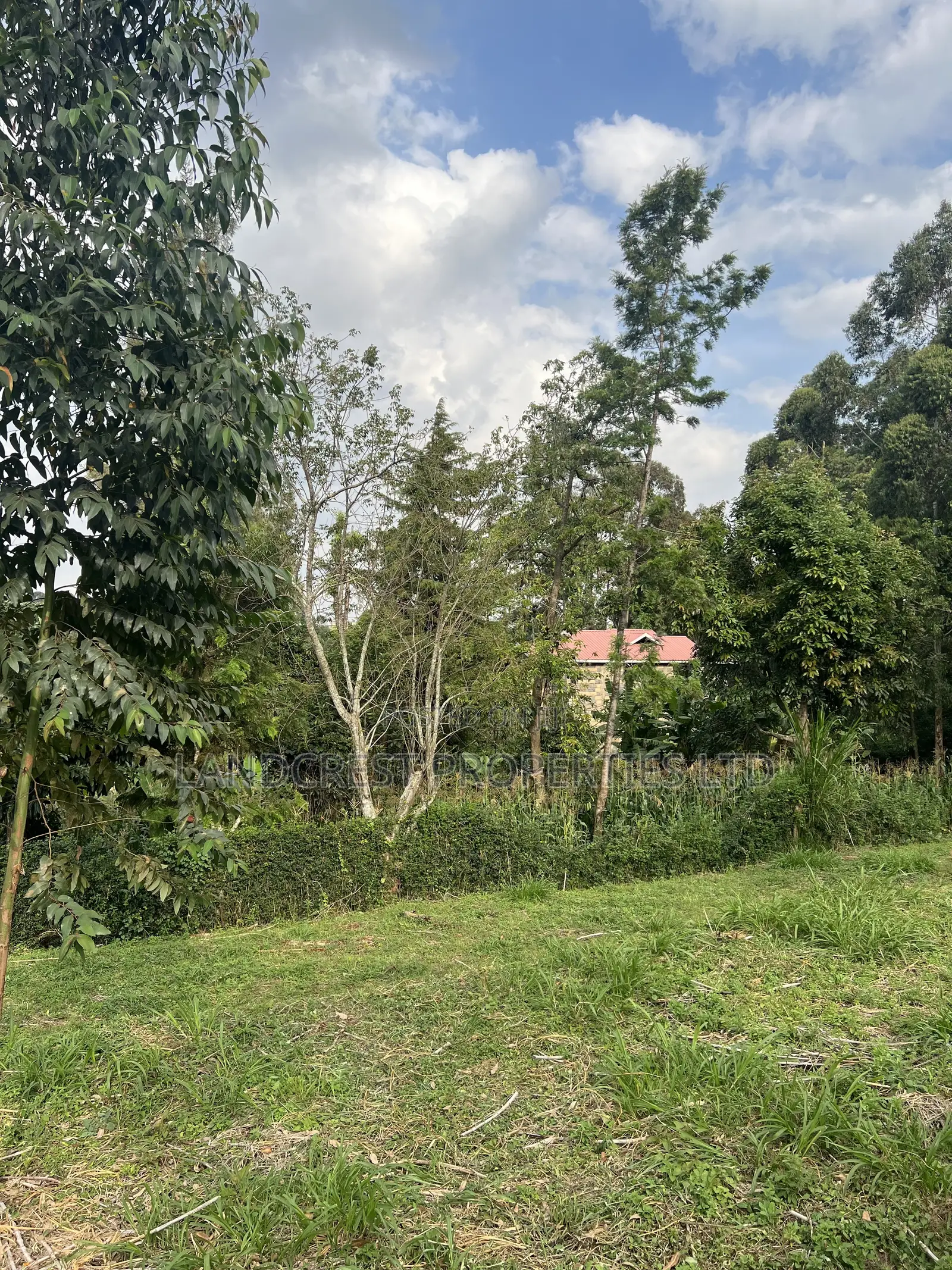 Prime 1/8 Acre for Sale  Kikuyu, Gikambura in Kikuyu
