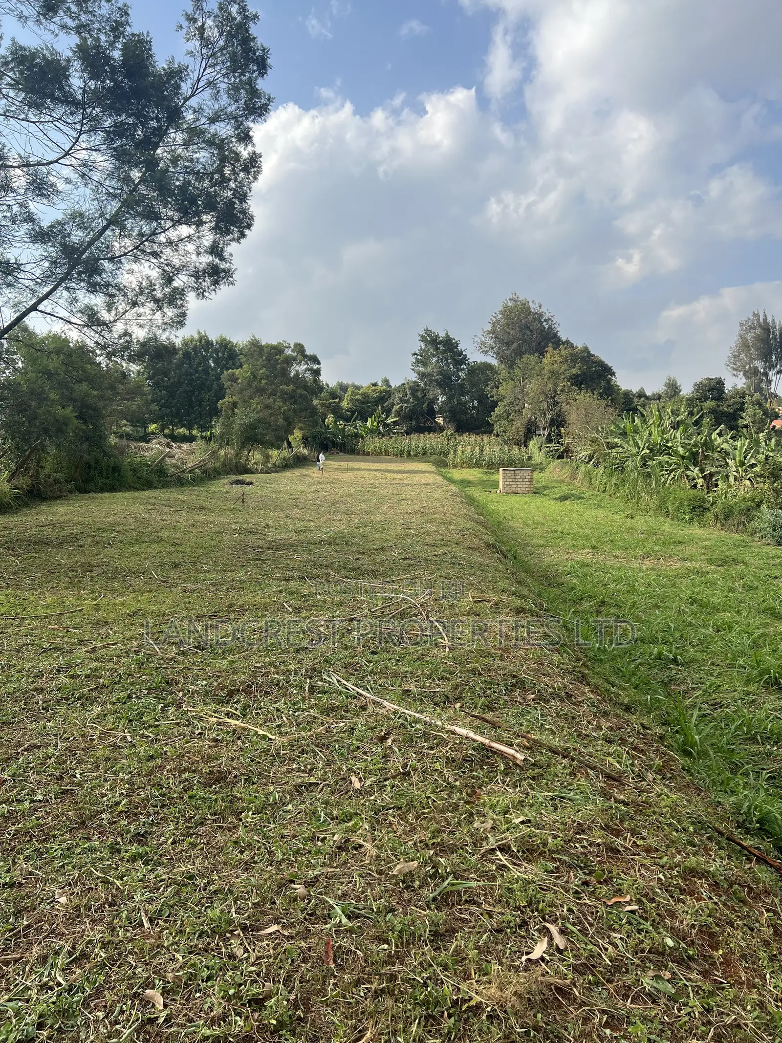 Prime 1/8 Acre for Sale  Kikuyu, Gikambura in Kikuyu