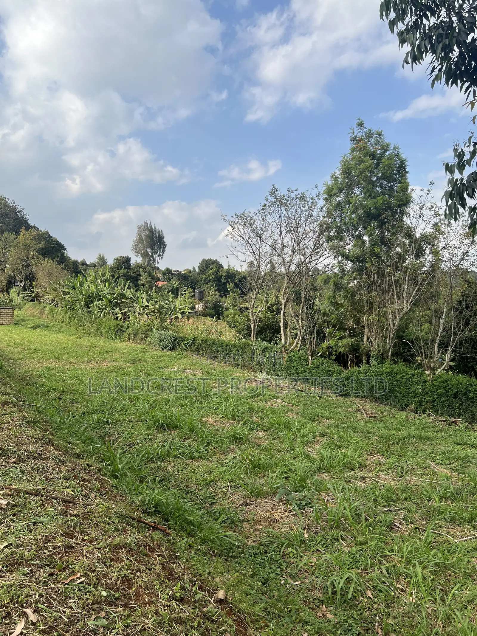 Prime 1/8 Acre for Sale  Kikuyu, Gikambura in Kikuyu