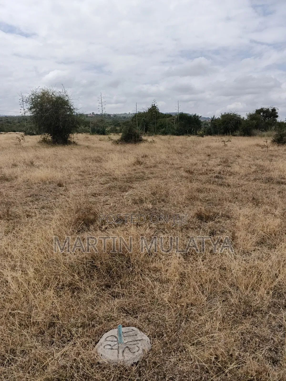 Plot for Sell in Junction